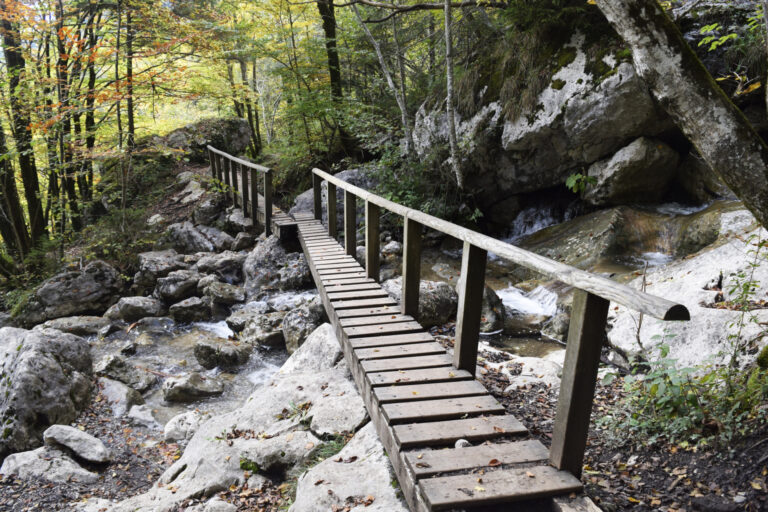 Passerelle en bois au-dessus du torrent sur le circuit des cascades