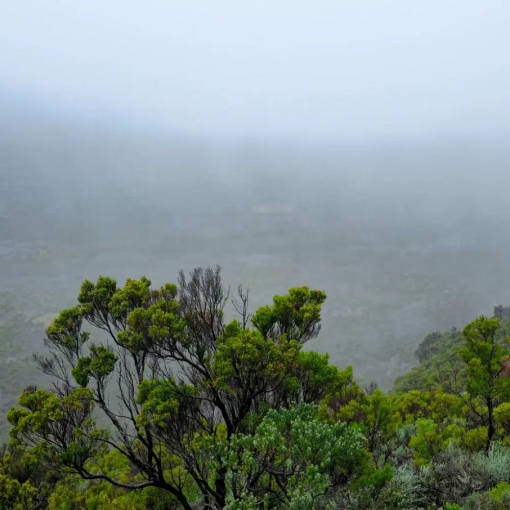 Brume gr r2 Brume gr r2 pluie