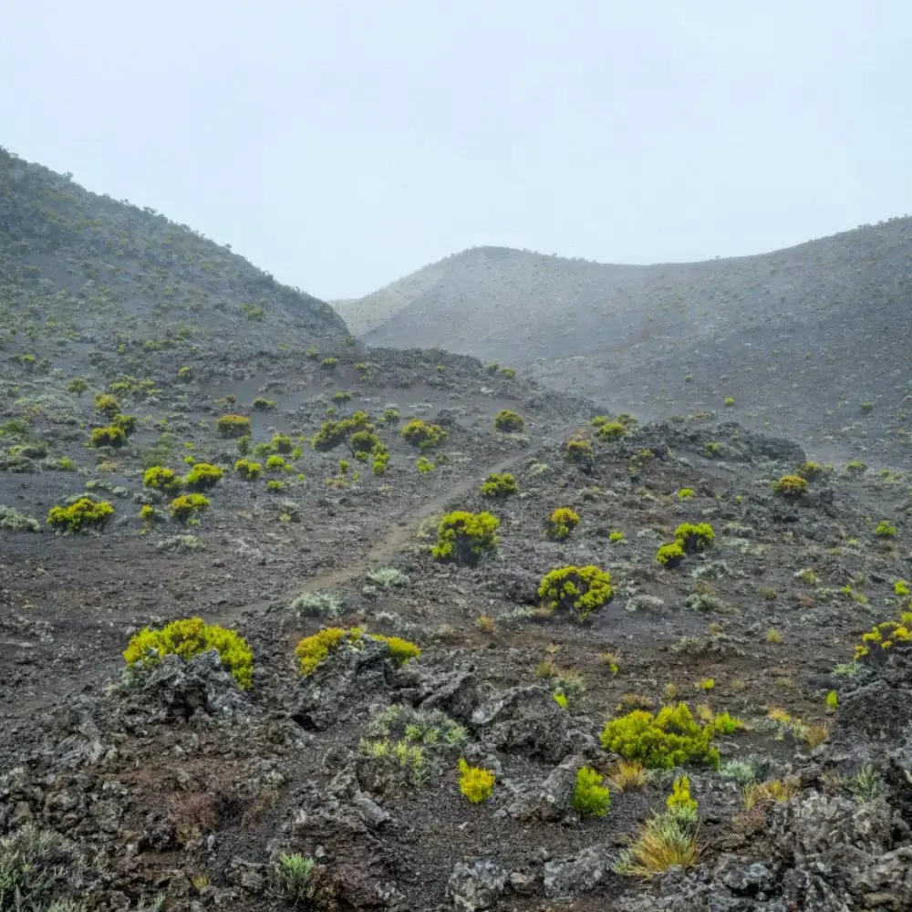 brume piton fournaise Brume piton fournaise volcan