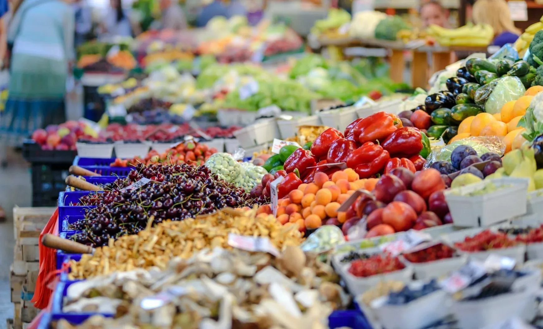 Étal de fruits et légumes sur un marché