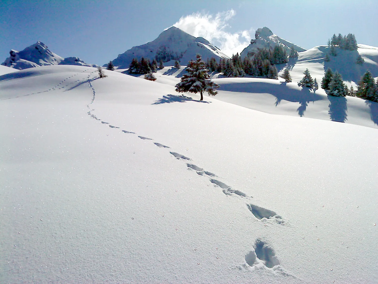 Pointe d'Orsière en ski rando