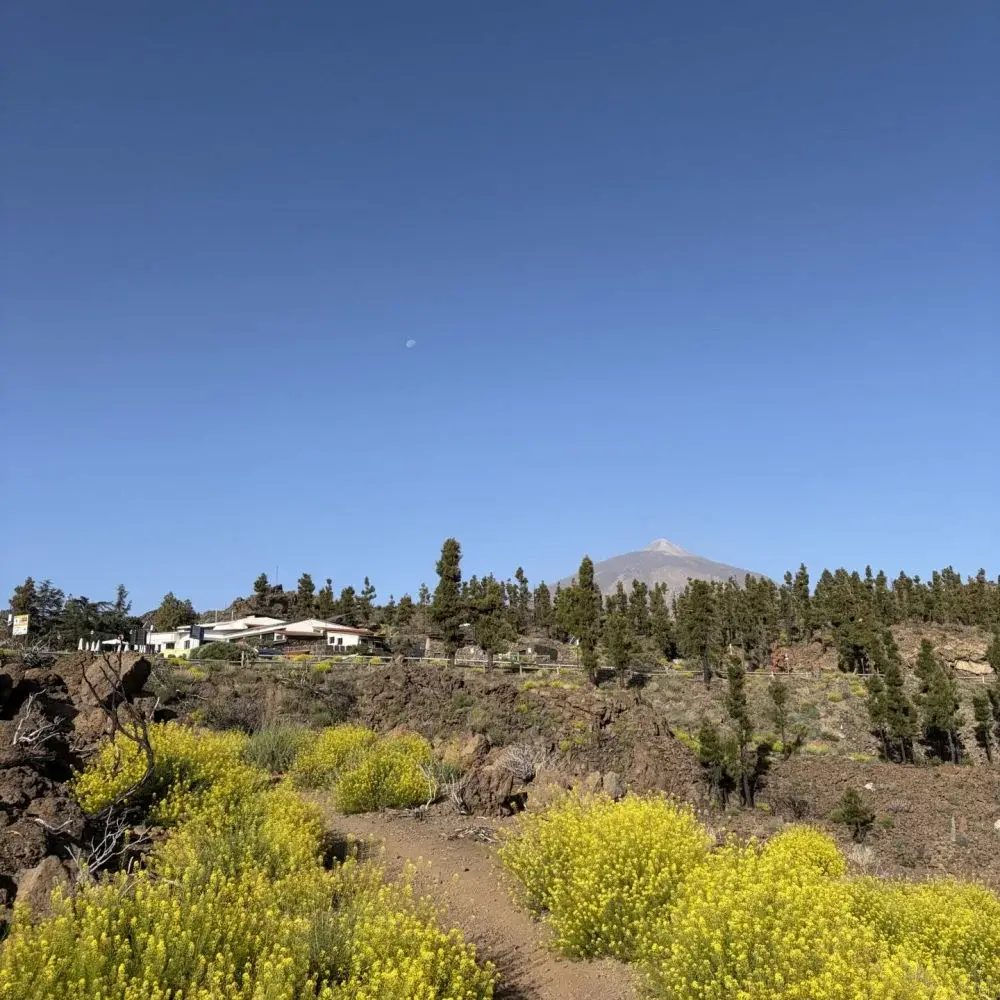 Volcan Teide Volcan Teide