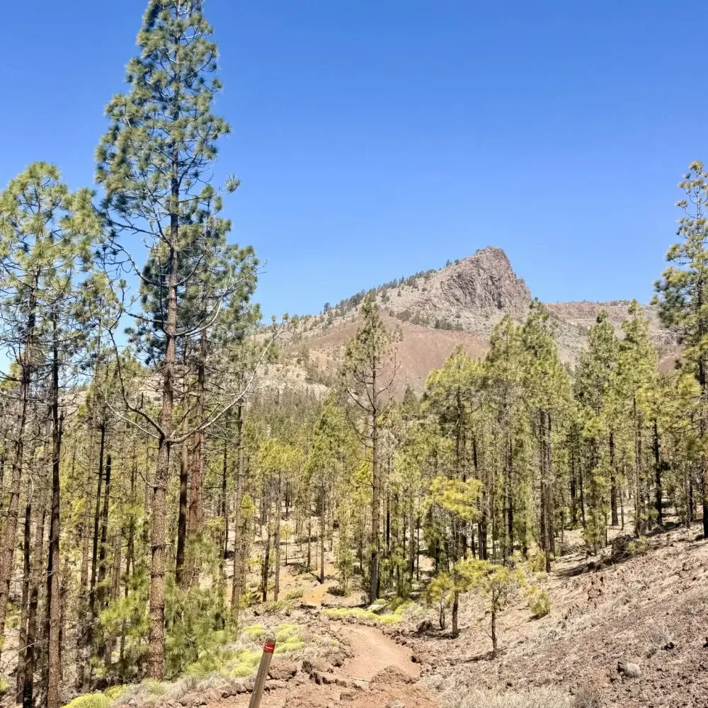 Tenerife Tenerife