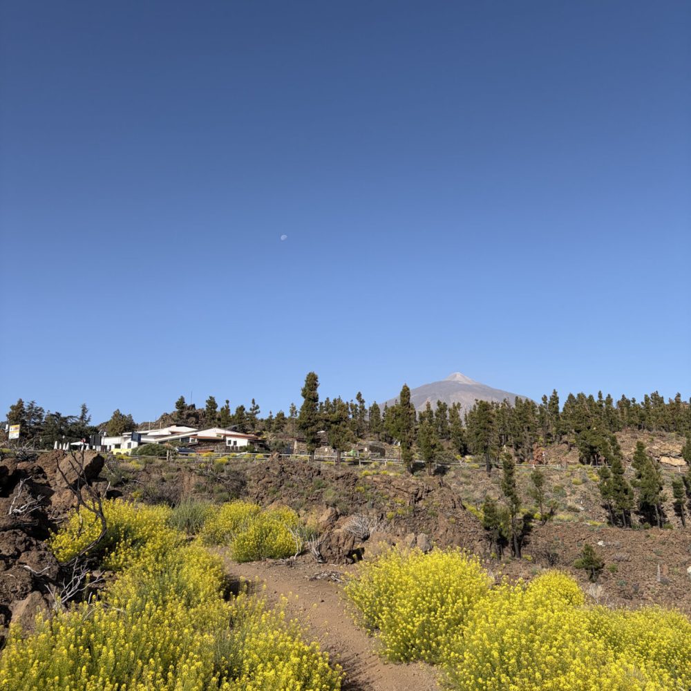 Volcan Teide
