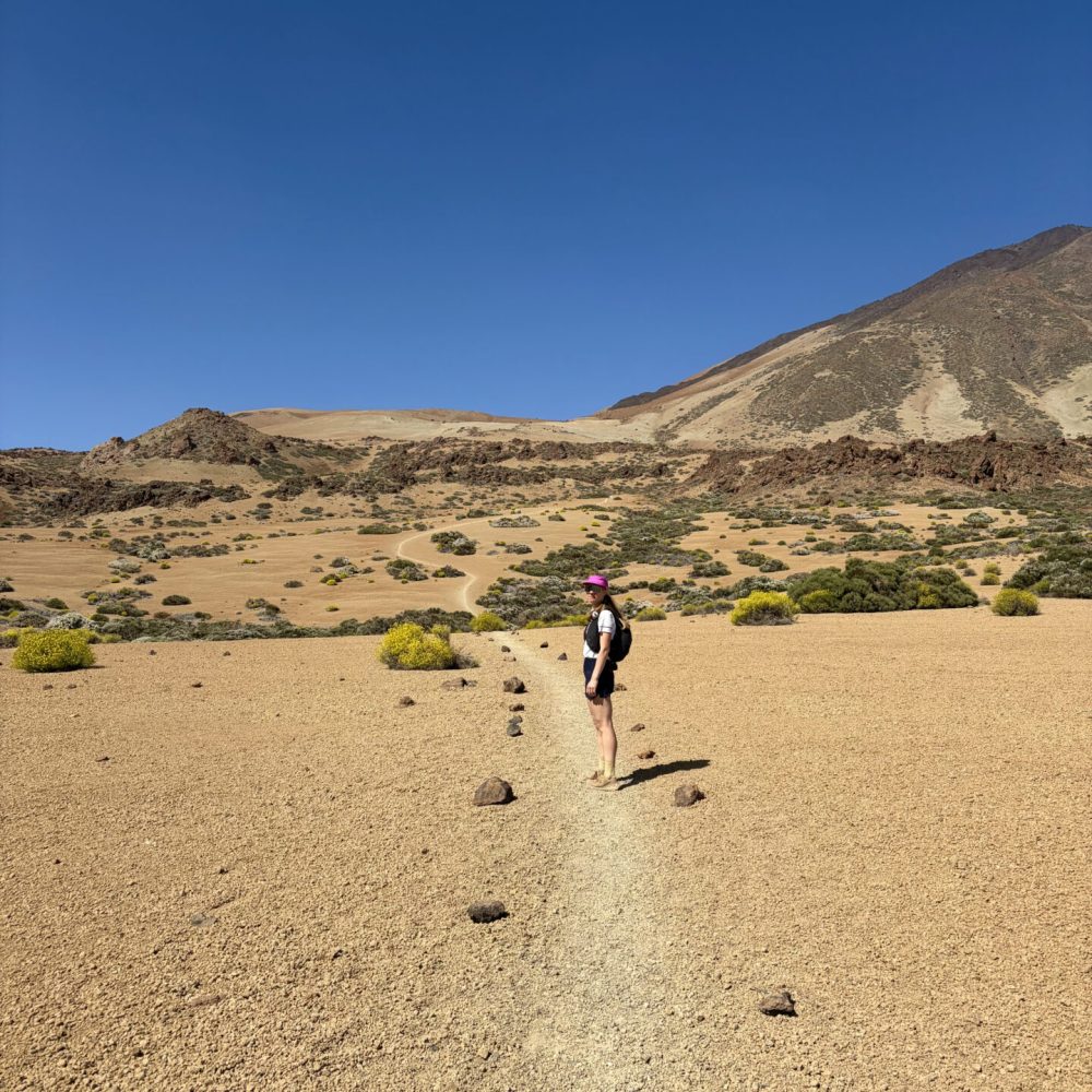 Parc National Teide