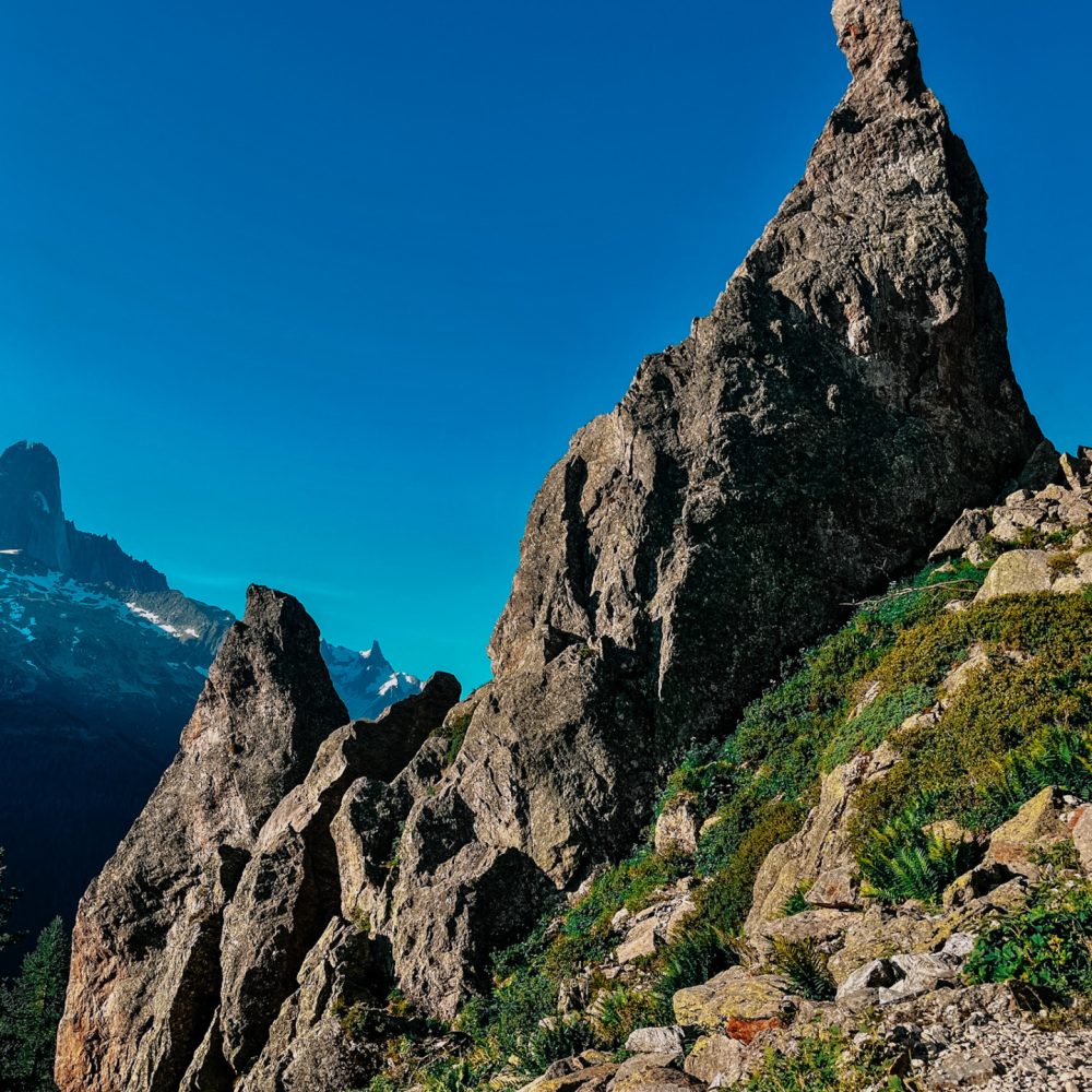 aiguillette d'argentiere