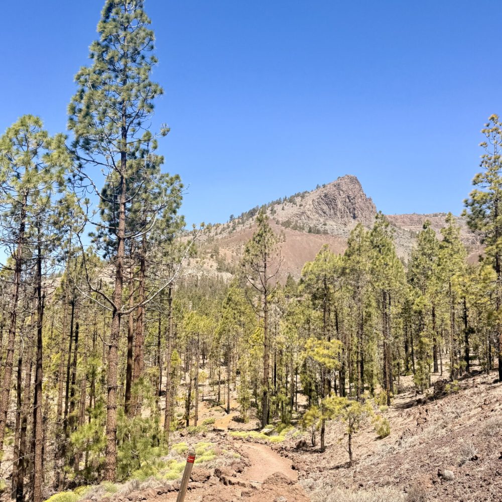 Tenerife